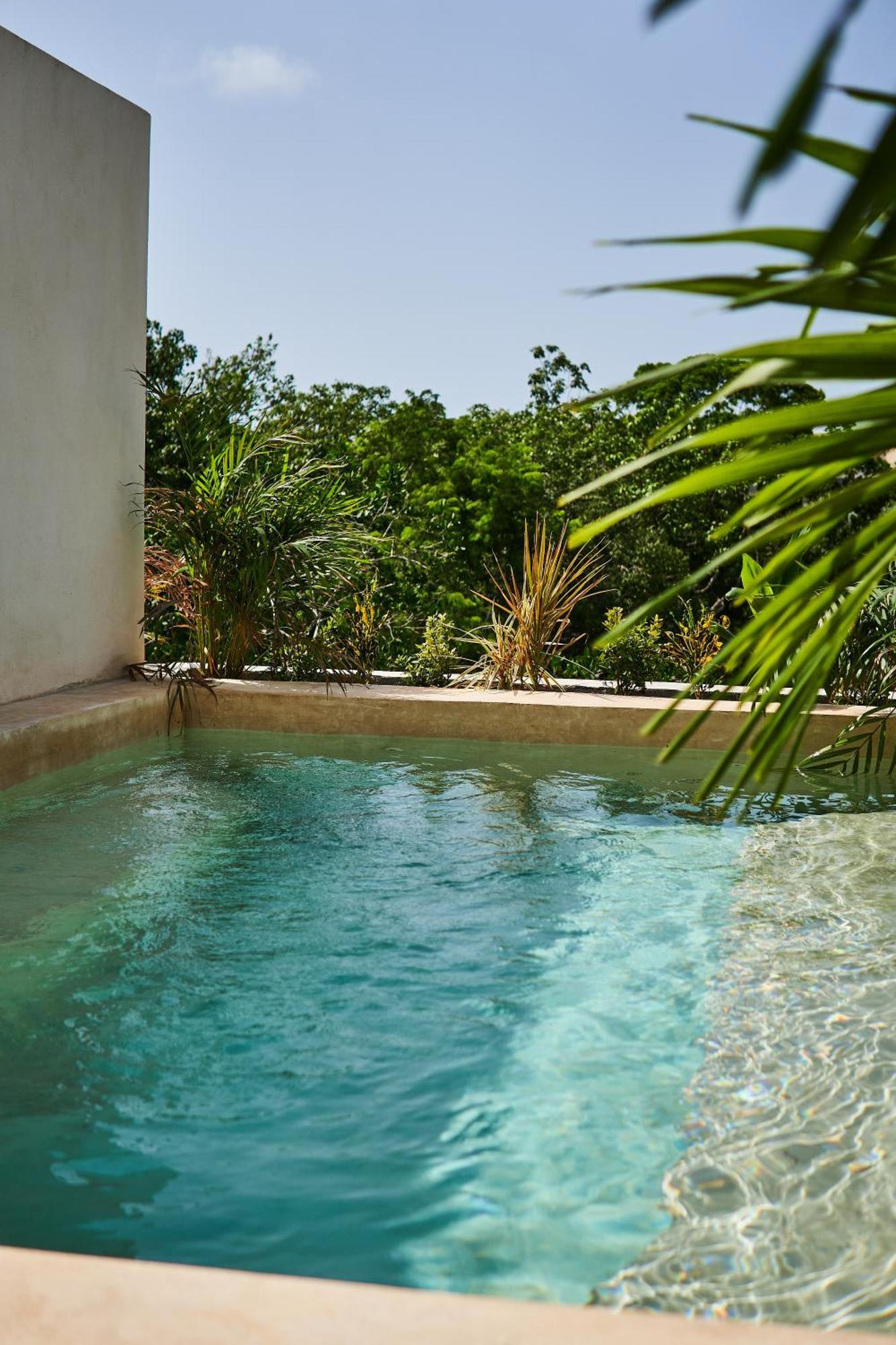 Spacious & Comfy Penthouse Oasis With Plunge Pool Тулум Экстерьер фото